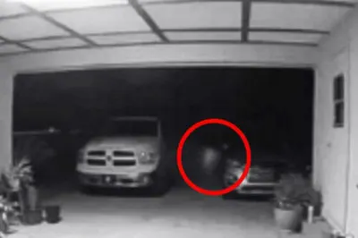 Загадочное создание попало в объектив камеры наблюдения в США