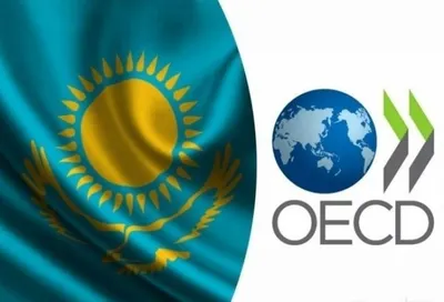 Министр здравоохранения РК и Антонио Сомма договорились об ОЭСР