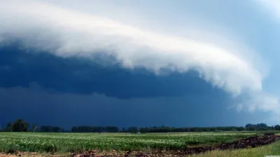Дождь, грозы и пыльные бури ожидаются в Казахстане