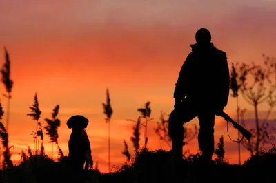 В новом сезоне разрешено охотиться на 34 вида животных