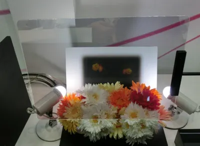 Создана «умная» прозрачная пленка для стекла