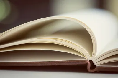 Тюремный срок за прочитанные книги сократят в Узбекистане