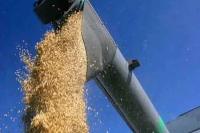 Казахстан намерен экспортировать 9 млн тонн зерна в 2013 году