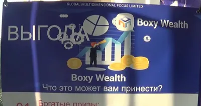 Миллионы тенге за лайки: как в Boxy Wealth обманывали алматинцев