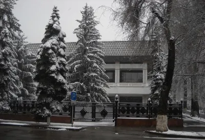 В алматинском Доме дружбы отметили День Независимости Казахстана