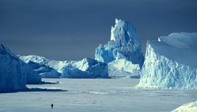 Украина задумалась над освоением Арктики