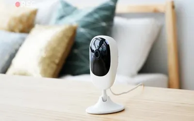 Странное существо попало на видео в США