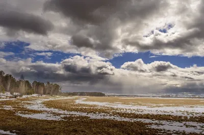 Не новогодняя погода ожидает жителей южных регионов Казахстана