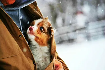 День спонтанной доброты и открытия Эрмитажа