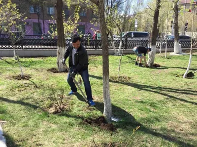 Депутаты мажилиса в столице РК приняли участие в общегородском субботнике