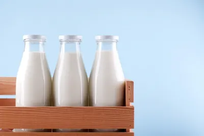 Производство мяса и молока увеличилось в Казахстане