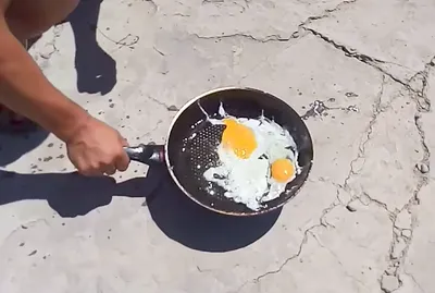 Житель Шымкента пожарил яичницу на 50-градусной жаре