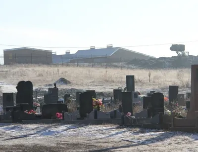 В ВКО свиноферма отравляет запах на кладбище