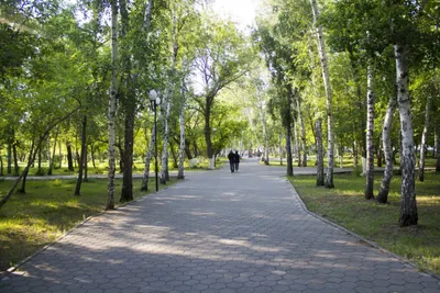 Проверить законность строительства элитного жилья в Караганде требуют депутаты