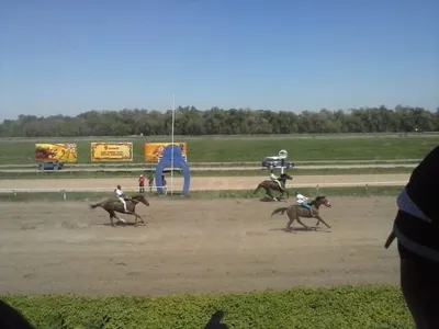 Ипподром Алматы отремонтируют частные инвесторы