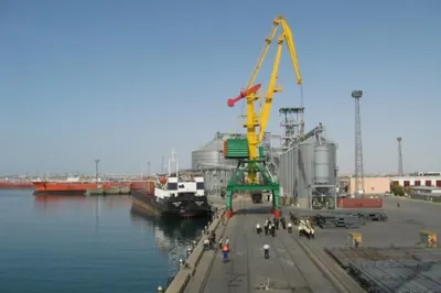 Ущерб от расширения порта Актау оценивается в 18 тонн рыбы