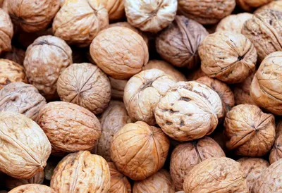 Как связаны грецкий орех и стресс – исследование
