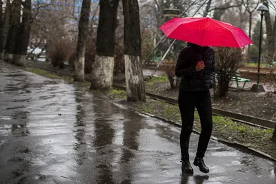 Неустойчивую погоду прогнозируют синоптики 13 августа