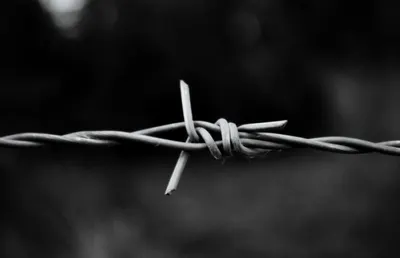 Граница с Афганистаном признана наиболее проблемной для СНГ