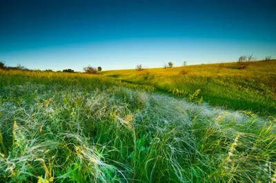 Проект закона о запрете продажи земли иностранцам рассмотрят в сенате