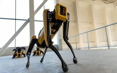 Робот Spot работает смотрителем в парке Сингапура