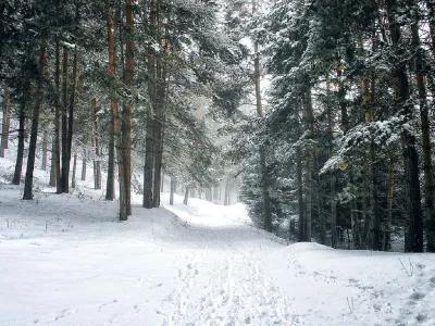 Кофе и чай в обмен на мусор раздают туристам в горах Алматы