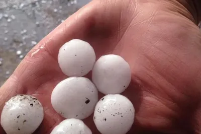 Из-за града погиб скот в селе Уштаган