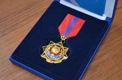 Токаев наградил участников тушения пожара в области Абай