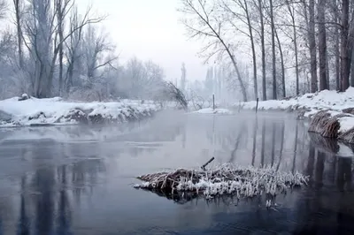 Около 5 тыс. тонн грязи извлекли из речки Есентай в Алматы