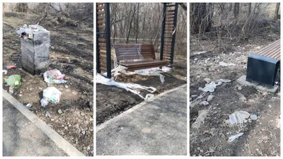 «Утопает в мусоре»: от акима Алматы требуют навести порядок в роще Баума