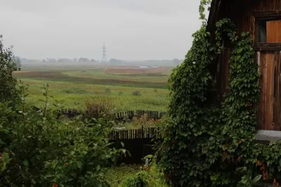 Павлодарские дачники больше года не могут получить компенсацию