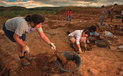 Археологи нашли новый вид динозавров