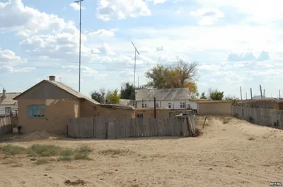 Сельчане в Актюбинской области не хотят жить без китайцевЭксклюзив