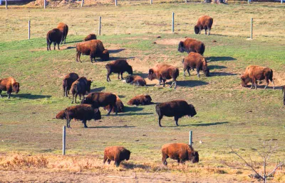 Ақмола облысында инвестордың жер учаскесін ресми бұзушылықтар үшін тартып алу жоспарланды