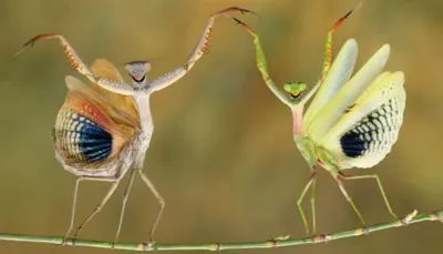 National Geographic объявила о начале конкурса лучших фото года