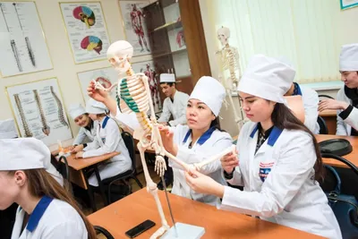 О снижении качества медицинского образования заявила Ажар Гиният