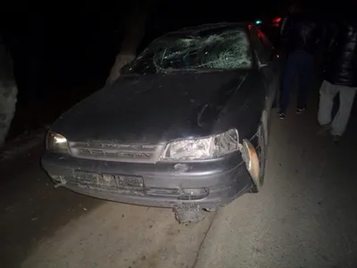 Лошадь пострадала в ДТП в Алматы (ФОТО)