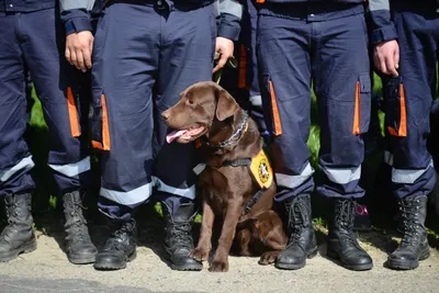 Второй день ищут ребенка в Карагандинской области