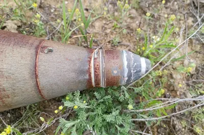 Боеприпас в степи обнаружил грибник из Актау