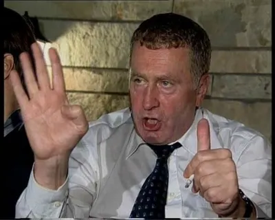 Госдума попросила Жириновского придержать язык