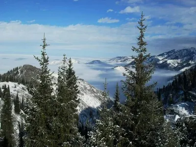 На проект «Кок Жайляу» пожаловались в Комитет Орхусской конвенции