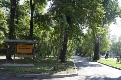 Более тысячи новых деревьев высадят в роще Баума в Алматы