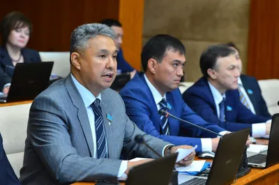 Азат Перуашев снова предложил отпраздновать столетие Казахской Республики