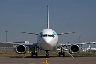 После трех суток ожидания туристы вылетели из Израиля