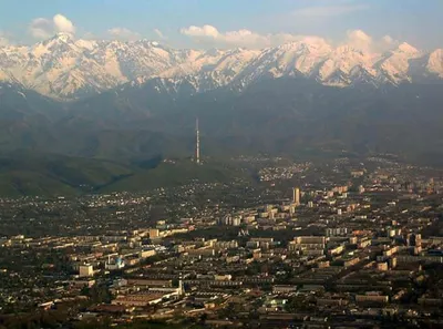 МЧС «оправдалось» за молчание во время землетрясений в Алматы