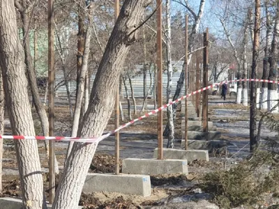 Против уничтожения сквера в центре города выступили павлодарцы