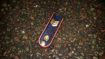 Оскорбление полицейского влечет арест до 75 суток