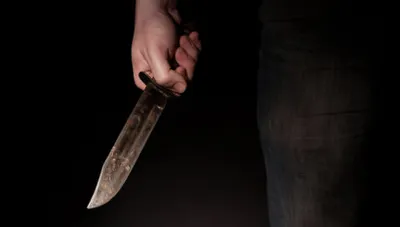 В Австрии мужчина напал с ножом на пассажиров поезда