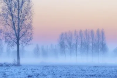 Туманная погода ожидается на западе Казахстана