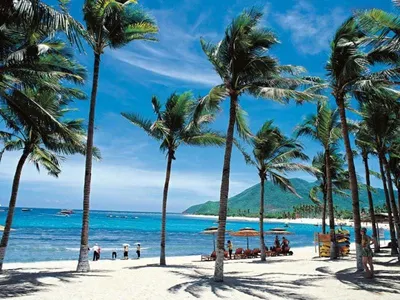 Китайских нудистов отправят на общественные работы